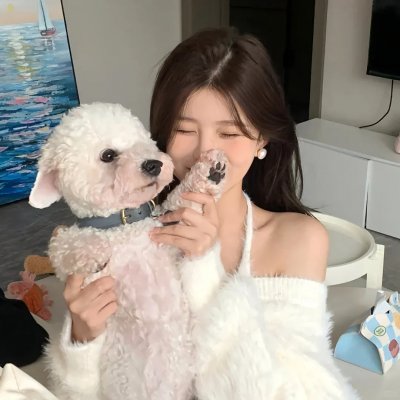 黑狐狸